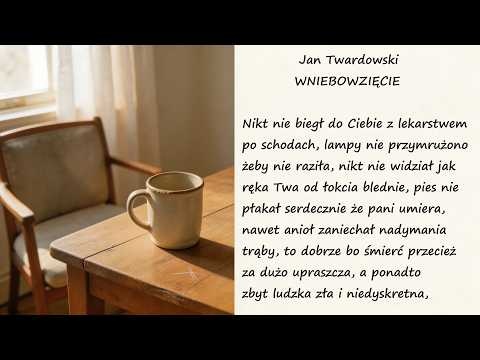 Wniebowzięcie Jan Twardowski Poezje Wiersze | Poezja Dla Duszy