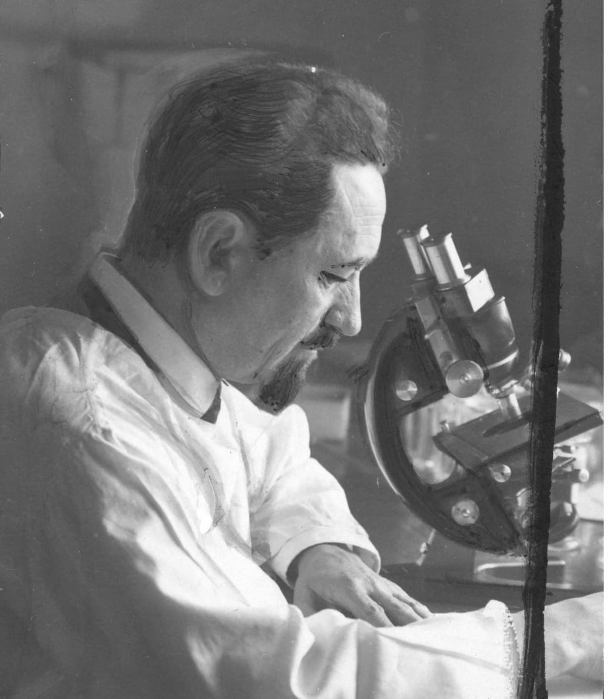 Rudolf Weigl - Polak, który uratował świat przed tyfusem