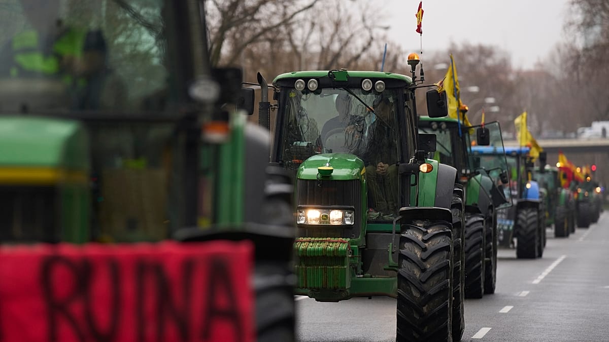 UE wprowadzi zakaz importu brazylijskiego mięsa od września