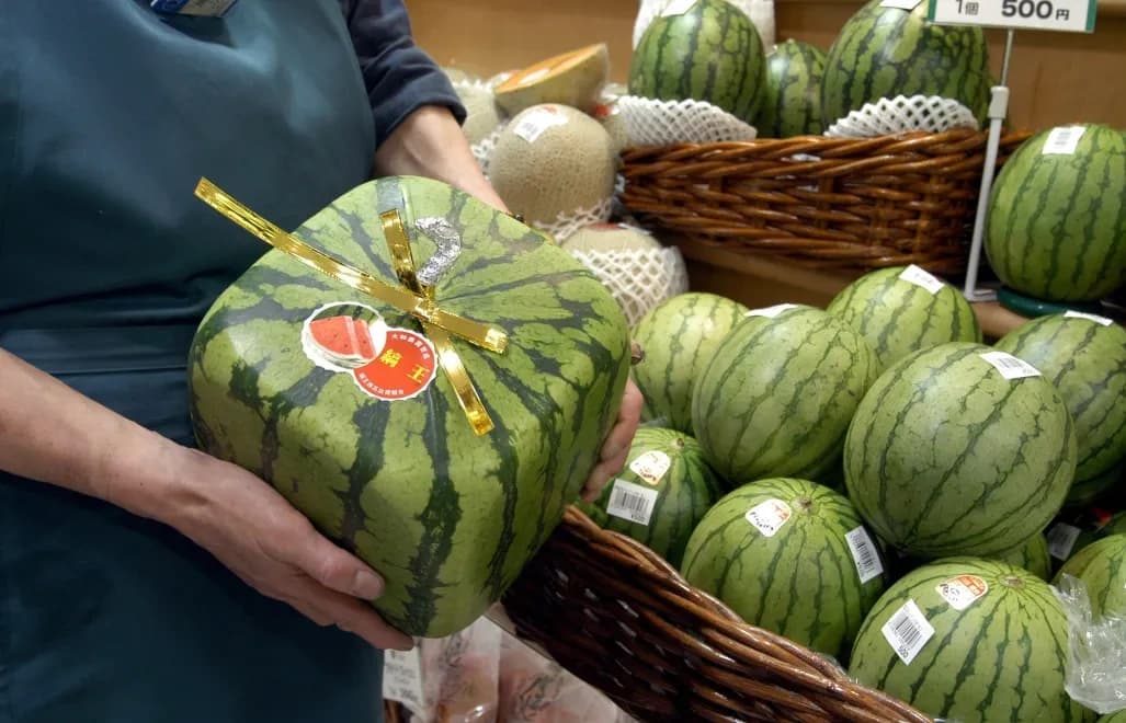U nas okrągły, w Japonii kwadratowy - dziś arbuz ma swoje święto