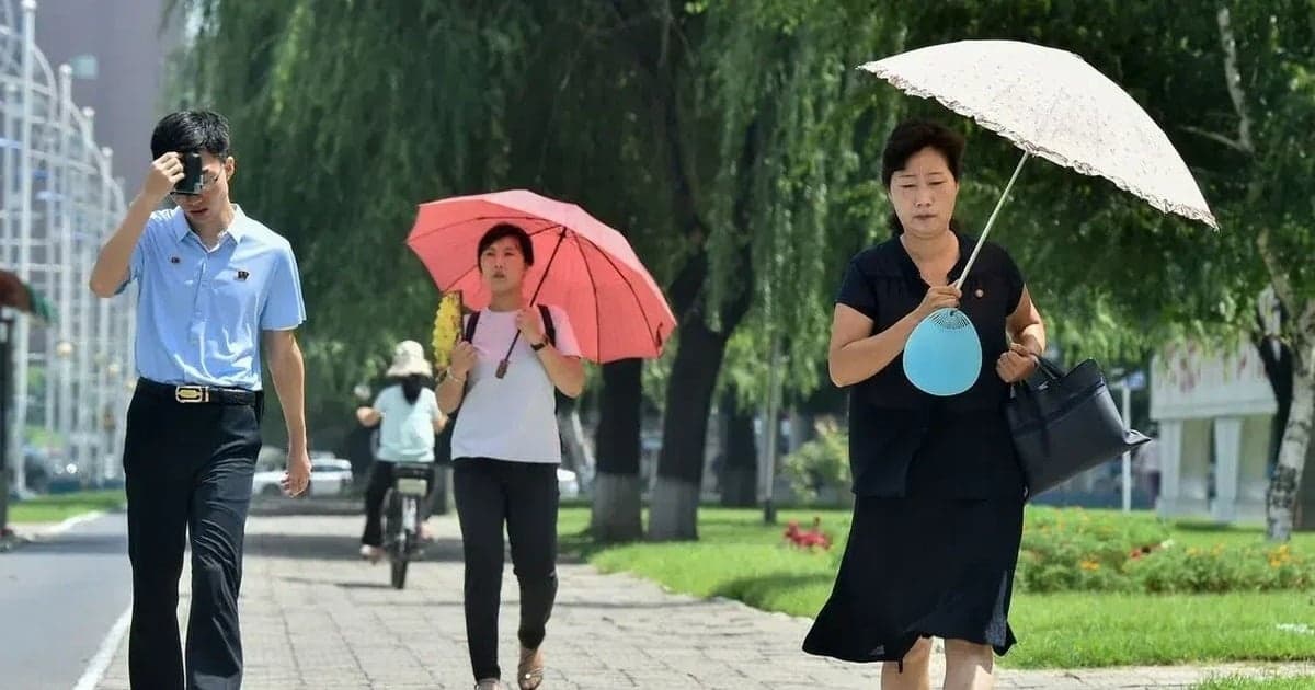 Korea Północna radzi swoim obywatelom, aby w czasie upałów jedli zupę z psiego mięsa i gulasz z kurczaka z żeń-szeniem.