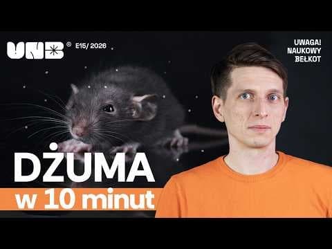 Wszystko co musisz wiedzieć o dżumie w 10 minut