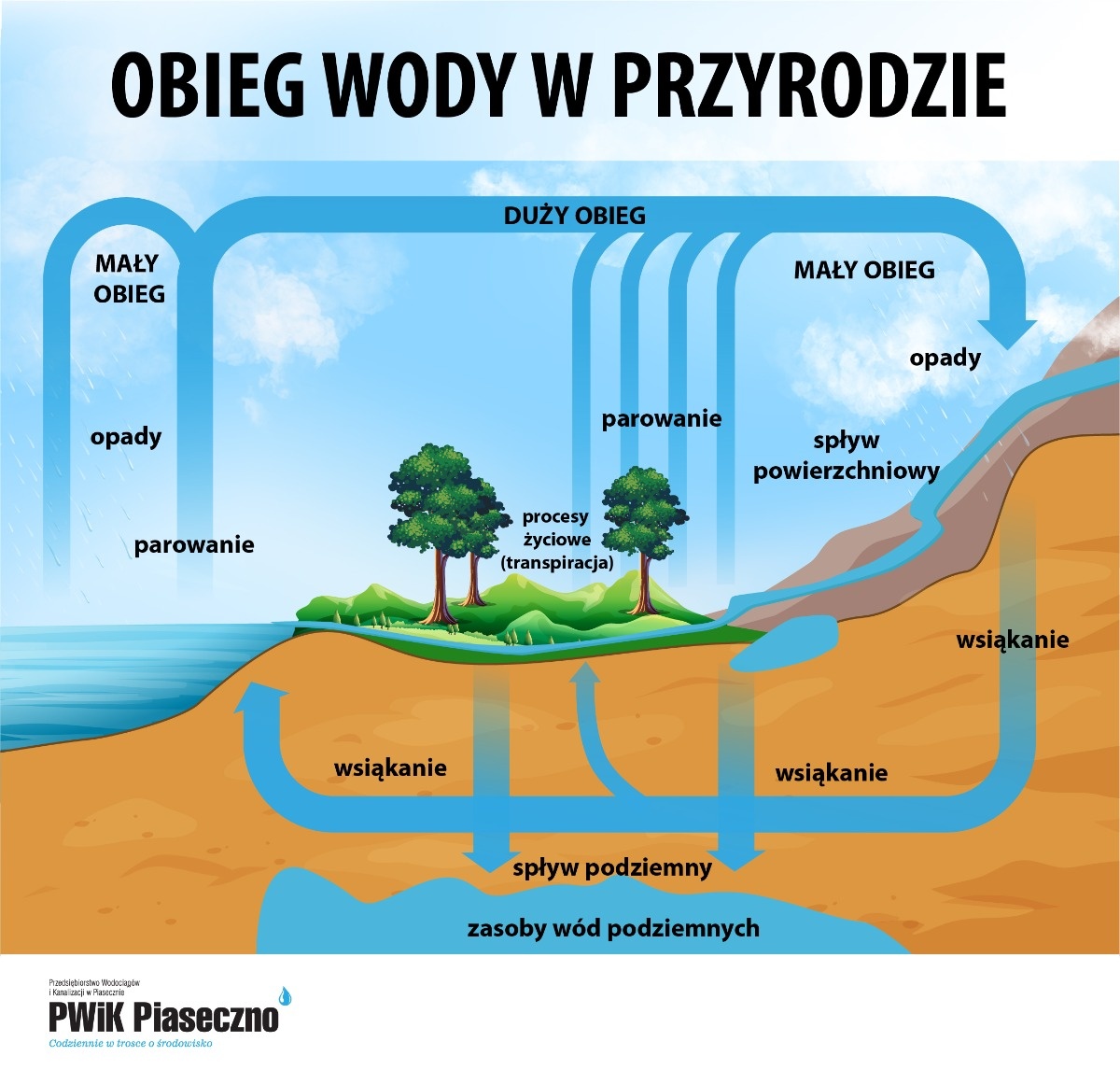 Skąd bierze się woda w rzece i studni