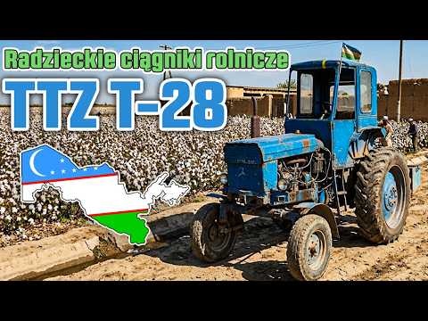 Uzbekistan TTZ T-28 - Radzieckie ciągniki rolnicze