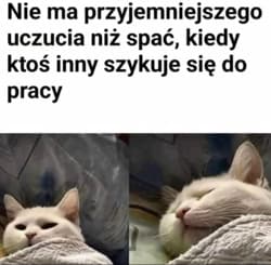 #heheszki #zonabijealewolnobiega