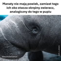 #przyroda #ciekawostki