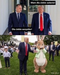 Nawet śmiechłem xD #heheszkipolityczne #polityka