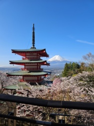 Czasami nie warto wstawać o 6 z rana, a czasami warto. #podrozujzhejto #japonia #dziendobry