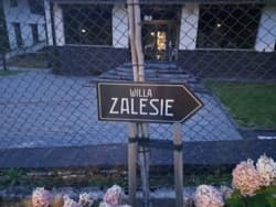 No to jestem w tym słynnym #zalesie I widzę dużo ciekawych rzeczy  #owcacontent #podrozujzhejto