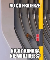 #heheszki #humorobrazkowy