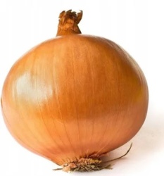 Uwaga lamusy, mam ważną wiadomość Mam kontakt z @CebulaZrosolu , żyje i ma się dobrze. Po prostu potrzebuje odpoczynku od hejto. #csihejto #nekroblog #nekrolog