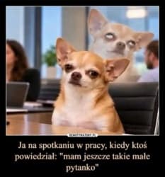 #heheszki #pracbaza