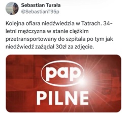 #bekazgorali