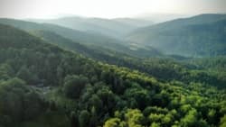 Wczoraj kiełba z ogniska, noc w namiocie, cała baza jeszcze śpi, a ja słucham szumu drzew i śpiewu ptaków. Fajnie jest :+1: #piechurnatrasie :mountain: #gory #beskidwyspowy