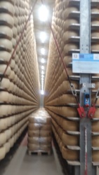 Jak kultura osobista, papież Polak i czatGPT zaoszczędziły mi dziś hajs. Zwiedzaliśmy dziś fabrykę parmezanu pod Modeną. Fajna wycieczka, klimaty nie moje, ale proces i wykorzystanie resztek robią wrażenie. Na koniec mieliśmy degustację - na każdym talerzyku 12, 24, 36, 72 i