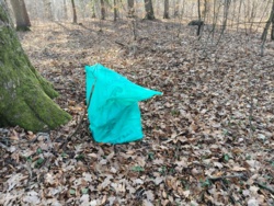 Widok jakiej rzeczy sprawił, że leśnik cofnął się 10 km po worki, by ją jak najszybciej w nie włożyć i wywieźć z lasu? Zapraszam do zgadywania XD Info po 16 #lesnapracbaza #pracbaza #las