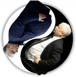 zerknąłem tylko #polityka #bekazprawakow