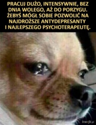 #pracbaza #kiciochpyta #zalesie #psychika Piszę aby się pożalić i z prośbą o poradę od osób, które być może mają jakieś skuteczne strategie do radzenia sobie z dużą presją, stresem i nawałem obowiązków w pracy. Działam jako terapeutka SI w przedszkolu integracyjnym. Jakiś