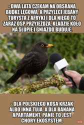 #memy #heheszki #wywiadzptakiem
