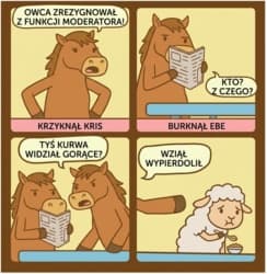 Teraz smutny kończy granulat dla moderatorów (niebieski będzie jeszcze z pół roku) #hejto #manacieopowiesci @bojowonastawionaowca #owcaspam