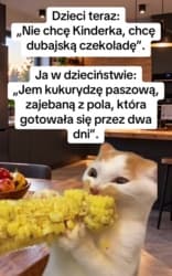 #heheszki