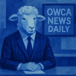 Jeszcze jasno to dzień dobry! Witam po małej przerwie, za którą przepraszam zainteresowanych, z tej strony @bojowonastawionaowca, mamy poniedziałek 20 kwietnia 2026 roku, minęła 20:00, to 61. wydanie #hejtonews w tym roku, zapraszam! Świat:   Irański statek towarowy TOUSKA ostrzelany przez