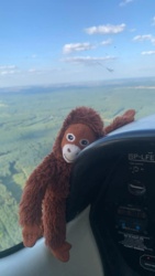 Po prawie dokladnie 8 latach od rozpoczęcia nauki latania zostałem pilotem zawodowym : O Polecieliśmy do Katowic, ale warunki tam panowały nieciekawe, choć po drodze nie było tak źle. Zmieniliśmy lotnisko docelowe na Kraków. Wpasowaliśmy się pomiędzy Lufthansę i Scandinaviana. Stamtąd