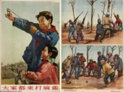 Chiński plakat zachęcający do krzywdzenia wróbli #chiny #plakat #wroble
