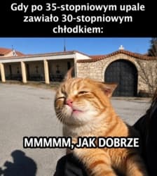#heheszki #memy