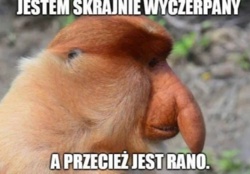 Dzień dobry, że tak pozwolę sobie zażartować #dziendobry