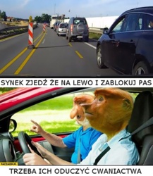 #samochody A wiecie co mnie jeszcze bardziej do białej gorączki doprowadza? Jak jest pusta autostrada, jadę 120kmh na tempomacie, ktoś mnie wyprzedza i zaczyna jechać mniej niż moje 120kmh ಠ_ಠ Ostatnio jeden samochód mnie wyprzedził w ten sposób trzy razy i trzy razy ja musiałem go