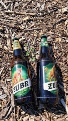 Znalazlem 2 Żubry- nie otwarte i data ważności ok- co prawda w pełnym słoncu wiec ciepłe :confused: coż począc z tym znaleźiskiem? Prawdopodobnie zostawiła rodzinka na rowerach, która była jakiś czas temu. #piwo