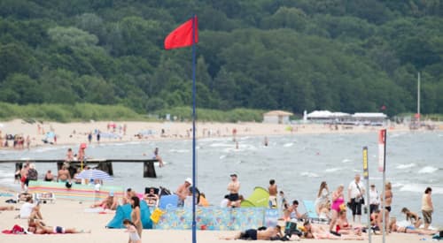 Sinice wróciły nad Bałtyk. GIS ostrzega i zamyka pierwsze kąpieliska
