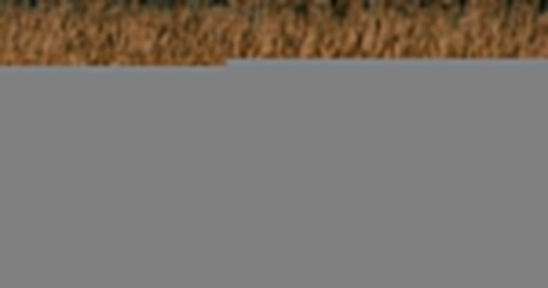 Wajrak: Nie dotarłem do źródeł Łutowni, za to nasłuchałem się wycia wilków. Tylko ich posłuchajcie!