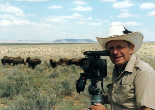 Tony Halik i jego droga do sławy