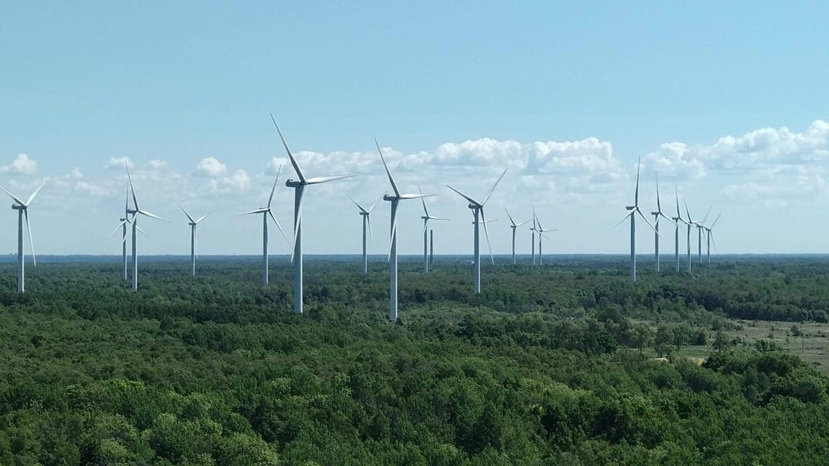 Europa wygrywa ranking klimatyczny: 15 państw na czele zestawienia