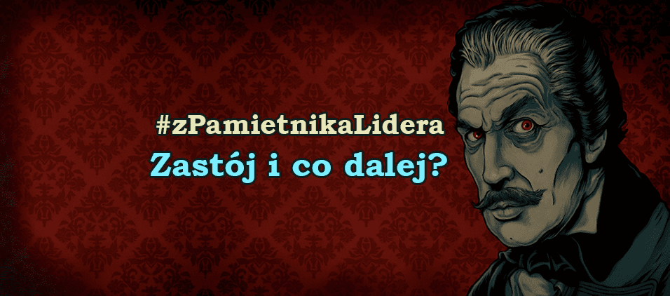 Z Pamiętnika Lidera - Zastój i co dalej?