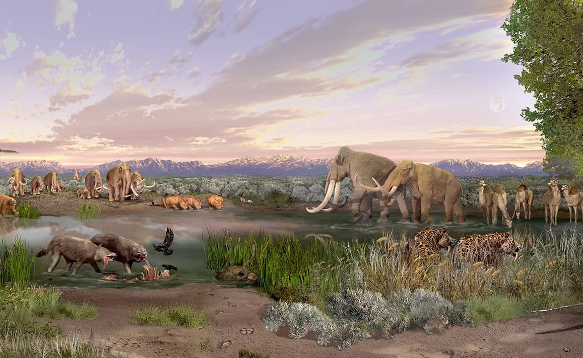 Megafauna: kiedy światem rządziły olbrzymy