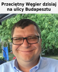 #heheszki #humorobrazkowy #heheszkipolityczne #polityka #memy