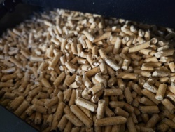 Cenę pelletu wywaliło w kosmos, a że mam spory nadstan bo naprodukowałem sobie w zeszłym roku. Postanowiłem oddać po kosztach bo dograłem fajnego deala przed weekendem z gościem co ma harvestery i chyba z 3 tartaki zaopatrza. Deal polega na tym, że podjeżdżam czym tam sobie chcę