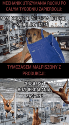 i cyk już po robocie, można zaczynać #weekend :grinning: #gownowpis #pracbaza